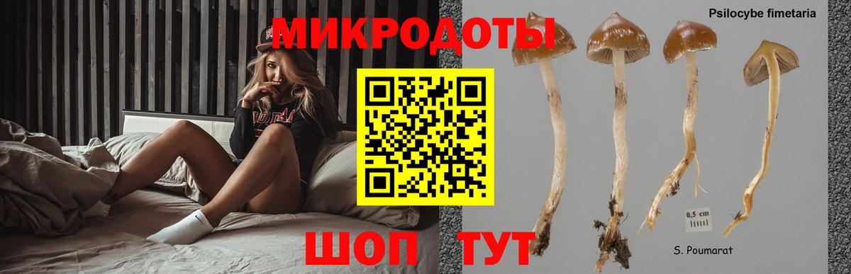 Калининград  Псилоцибиновые грибы MAGIC MUSHROOMS  Галлюциногенные грибы Magic Shrooms  Вход с VPN 
